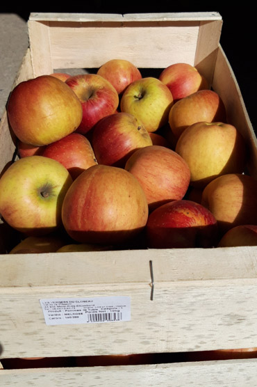 Vente directe de pommes à
        Mont-près-Chambord dans le Loir-et-cher (41)